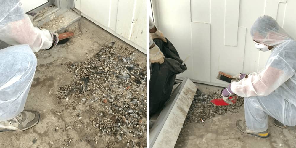 Entfernung von Taubenkot durch unsere Profis vor Ort in Graz