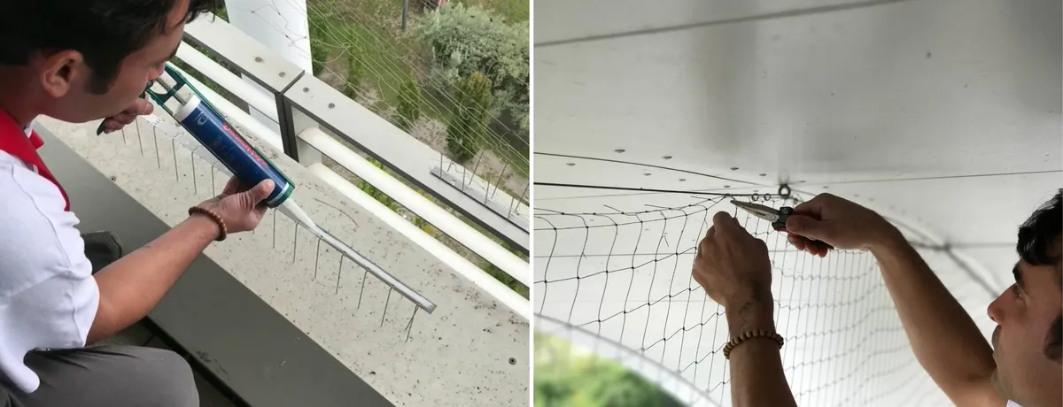 Titelbild: Effektive Taubenabwehr – So halten Sie Tauben fern von Terrasse und Balkon
