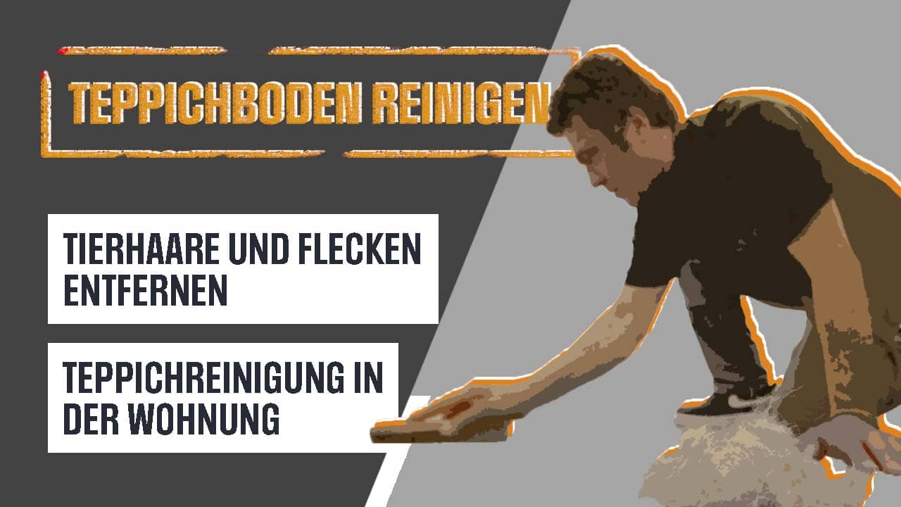 Video Teppichboden reinigen neu