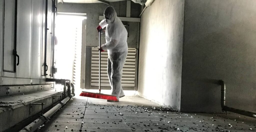 Beitragsbild: Taubenkot entfernen: 9 Fragen und Antworten die man beachten sollte