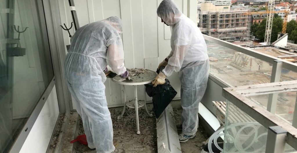 Beitragsbild: Problem mit Tauben? Wie bekomme ich Tauben vom Balkon entfernt