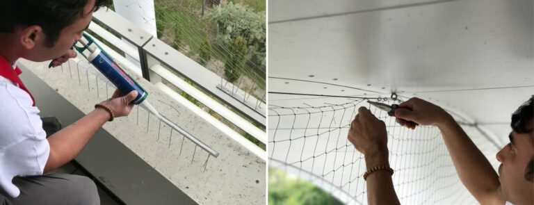 Mr. Cleaner Ratgeber Blog Effektive Taubenabwehr – So halten Sie Tauben fern von Terrasse und Balkon