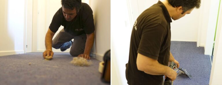 Mr. Cleaner Ratgeberblog: Haustierunfälle auf dem Teppich - Tipps zur effektiven Reinigung